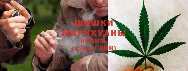 2c-b Елизово