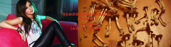 jwh Беломорск