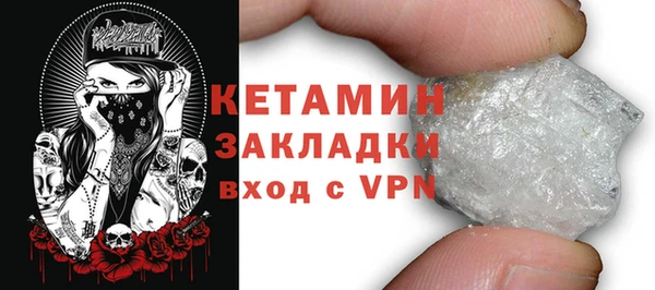 индика Козельск