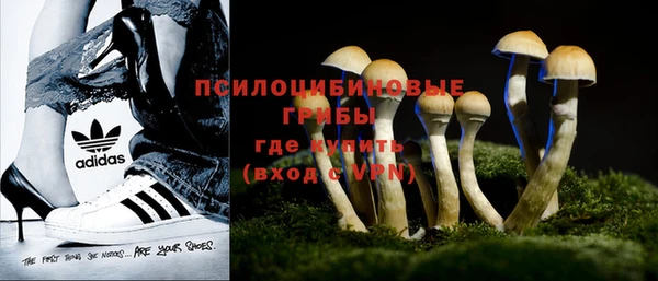 прущие крисы Белоозёрский