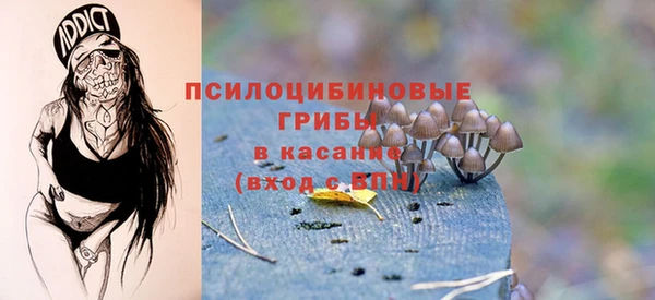 прущие крисы Белоозёрский